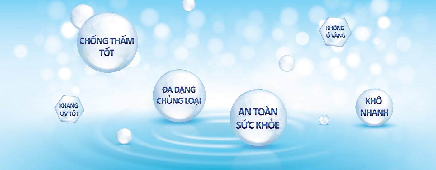 son-go-he-nuoc-giơi-thieu-trang-chu-biochem